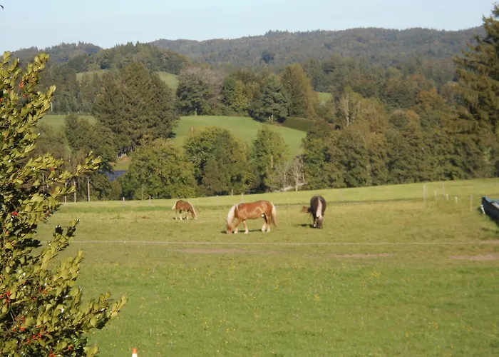 Ferienwohnung Schwaiger